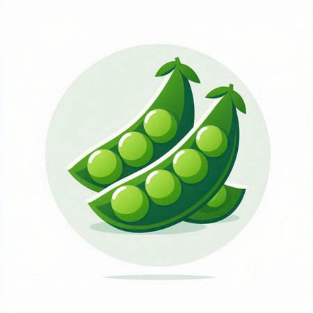 Peas icon. Vector illustration of fresh green peas isolated on white background.のイラスト素材
