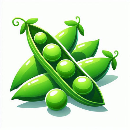 Green peas on a white background. Vector illustration. Eps 10.のイラスト素材