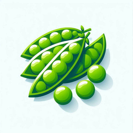 Fresh green peas on white background. Vector illustration. Eps 10.のイラスト素材