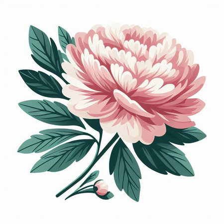Pink chrysanthemum with green leaves. Vector illustration.のイラスト素材