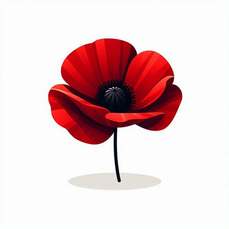 Red poppy isolated on white background. Vector illustration. EPS 10.のイラスト素材
