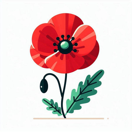 Red poppy flower isolated on white background. Flat style vector illustration.のイラスト素材