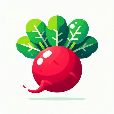 Red radish with green leaves on white background. Vector illustration.のイラスト素材