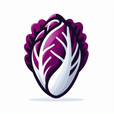 Purple cabbage isolated on white background. Vector illustration. Eps 10.のイラスト素材