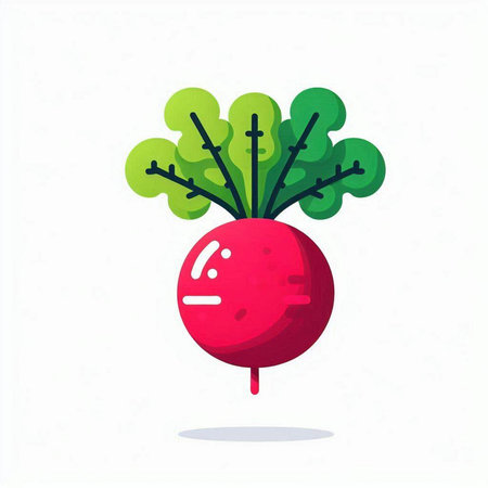 Beetroot flat icon. Vector illustration. Isolated on white background.のイラスト素材