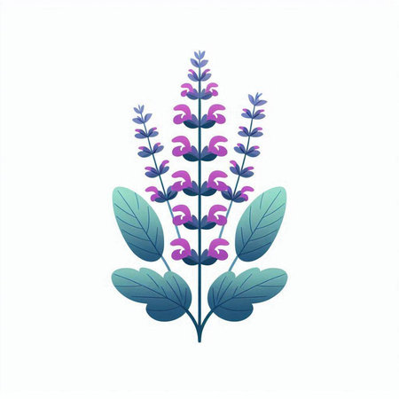 purple lavender flowers icon over white background, colorful design. vector illustrationのイラスト素材