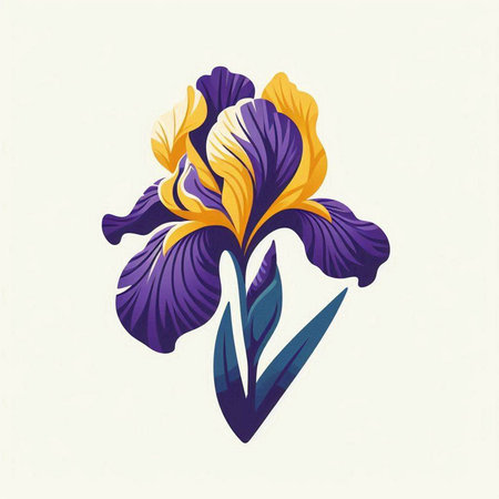 Illustration of iris flower. Vector illustration of iris flower.のイラスト素材