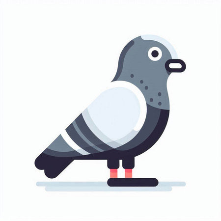 Pigeon isolated on white background. Vector illustration in flat style.のイラスト素材