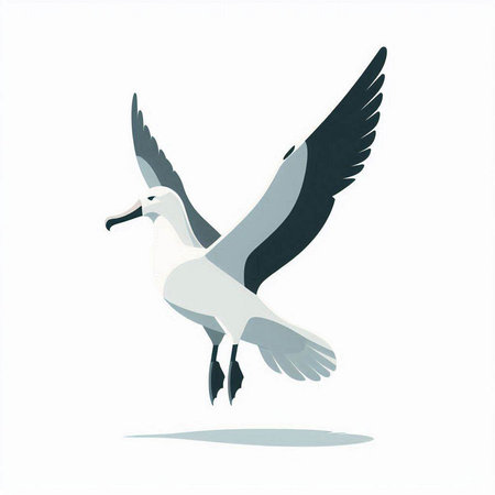 Flying seagull isolated on a white background. Vector illustration.のイラスト素材