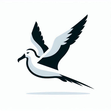 Vector illustration of a flying seagull on a white background.のイラスト素材