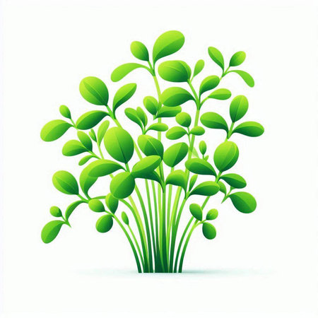 green sprouts on a white background, vector illustration, eps10のイラスト素材