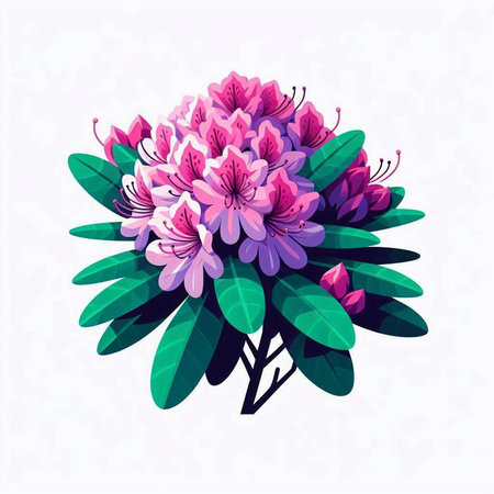 Pink rhododendron flowers bouquet. Vector illustration.のイラスト素材