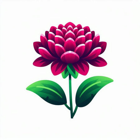 Illustration of a pink chrysanthemum on a white backgroundのイラスト素材
