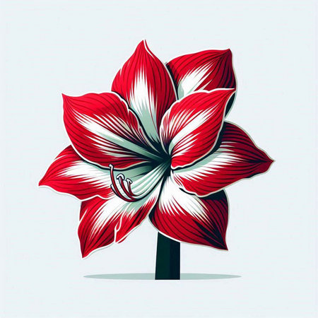 Hippeastrum, Amaryllis, vector illustration.のイラスト素材