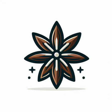 Star anise icon. Vector Illustration. Isolated on white background.のイラスト素材