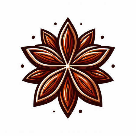Illustration of anise star on a white background, vector illustrationのイラスト素材