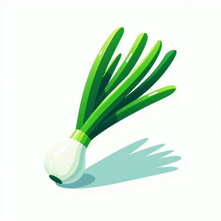 Illustration of a fresh green onion isolated on a white background.のイラスト素材