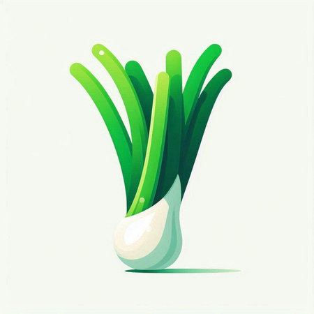 Illustration of a green onion on a white background. Vector illustrationのイラスト素材
