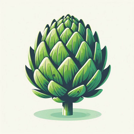 Artichoke. Vector illustration of an artichoke plant.のイラスト素材
