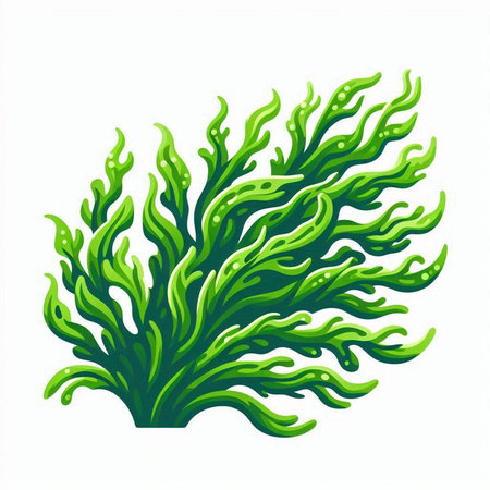 Green seaweed isolated on white background. Vector seaweed illustration.のイラスト素材