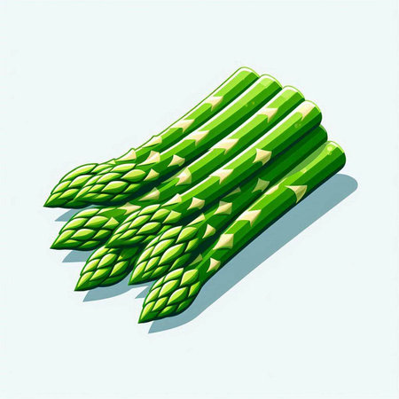 Green asparagus on a light blue background. Vector illustration.のイラスト素材