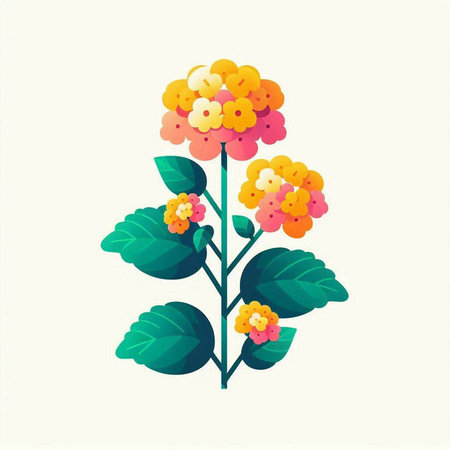 Lantana camara flower on white background. Vector illustration.のイラスト素材