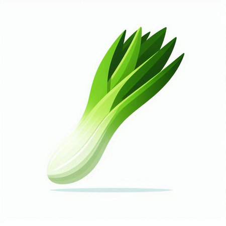 Leek vegetable icon. Vector illustration of fresh green spring onion.のイラスト素材