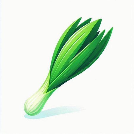 Illustration of a fresh green onion on a white background - vectorのイラスト素材