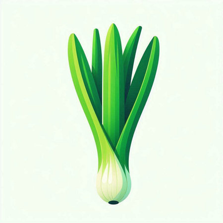 vegetable illustration with green leek isolated on a white backgroundのイラスト素材
