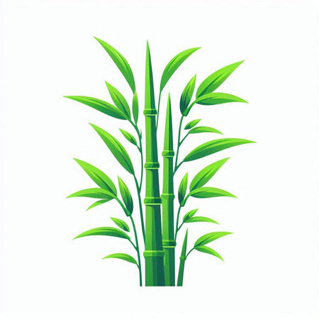 Green bamboo plant with leaves isolated on white background. Vector illustration.のイラスト素材