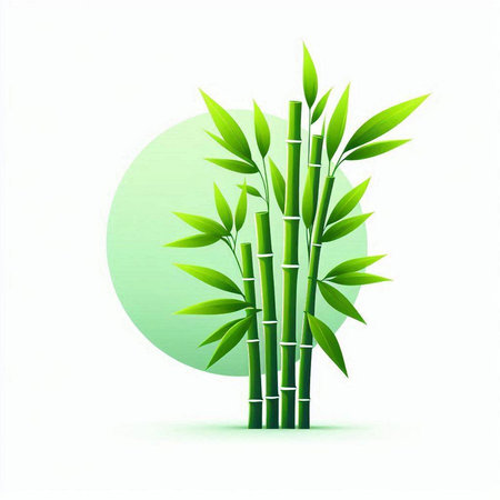 bamboo with green leaves on a white background. vector illustration.のイラスト素材