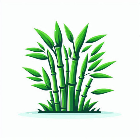 Bamboo plant vector illustration on white background. Isolated cartoon illustration.のイラスト素材