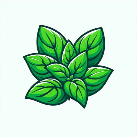 Mint leaves icon. Vector illustration of fresh green mint leaves.のイラスト素材