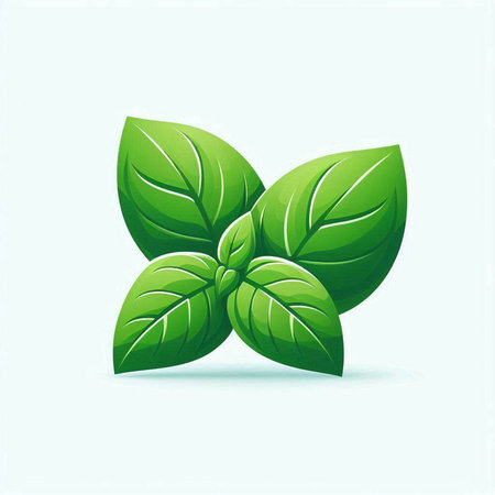 Fresh green basil leaves isolated on white background. Vector illustration for your designのイラスト素材
