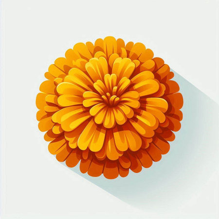 Orange chrysanthemum isolated on white background. Vector illustration.のイラスト素材