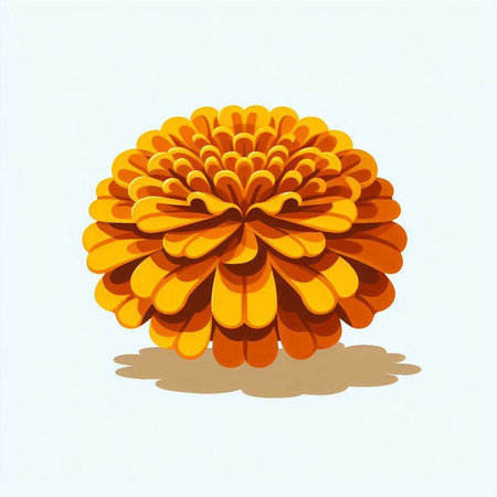 Illustration of an orange chrysanthemum on a white backgroundのイラスト素材