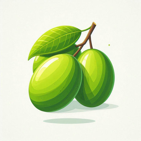 Illustration of green plums on a white background, vector illustrationのイラスト素材