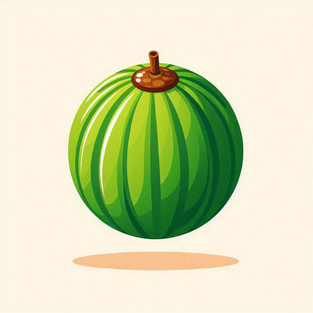Fruit watermelon. Vector illustration of a watermelon on a light background.のイラスト素材
