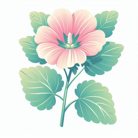 Hibiscus flower on a white background. Vector illustration.のイラスト素材