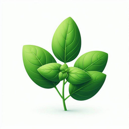 Basil plant isolated on white background. Vector illustration. Eps 10.のイラスト素材