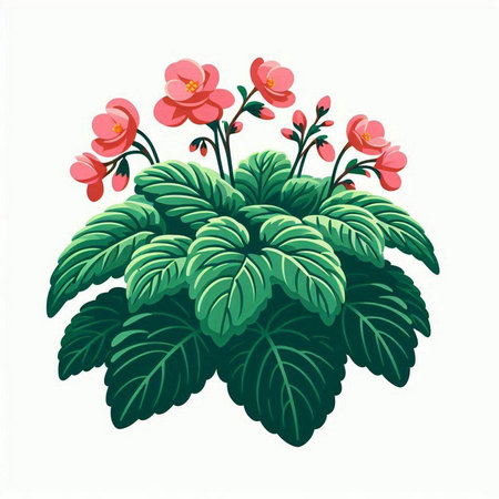 Illustration of a geranium plant isolated on a white background.のイラスト素材