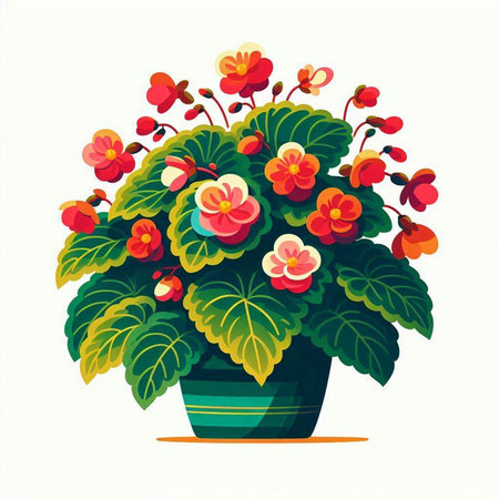 Flowerpot with red and yellow begonia. Vector illustration.のイラスト素材