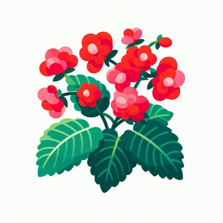 Flowering red geranium isolated on white background. Vector illustration.のイラスト素材