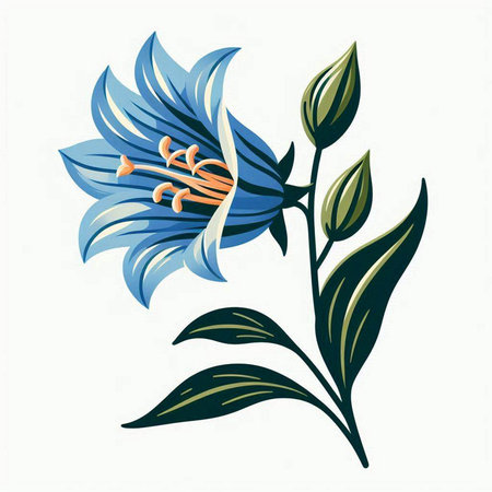 Illustration of blue lily flower with green leaves on white backgroundのイラスト素材