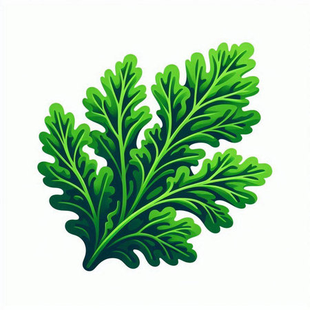 Arugula leaves isolated on a white background. Vector illustration.のイラスト素材