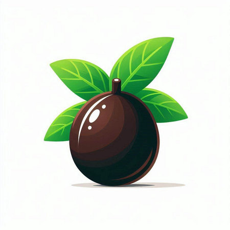 Illustration of a black olives with leaves on a white backgroundのイラスト素材