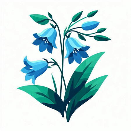Bluebell flowers with green leaves on white background. Vector illustration.のイラスト素材