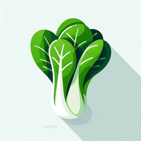 Bok choy (chinese cabbage) icon, flat designのイラスト素材