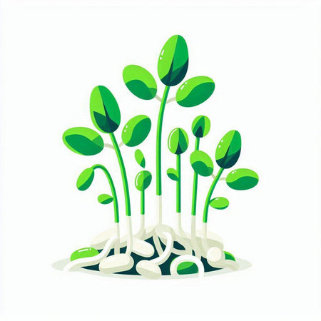 Green sprouts on white background. Sprouted seeds. Vector illustration.のイラスト素材