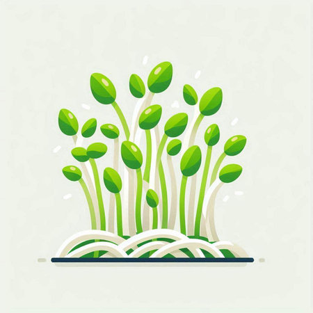 Green sprouts growing in soil. Vector illustration of microgreens.のイラスト素材